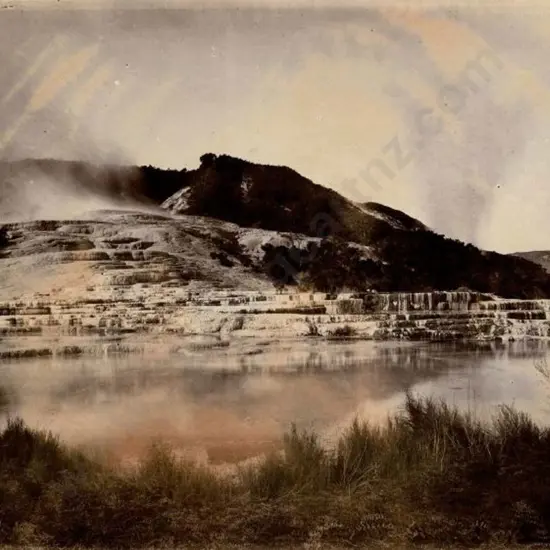 UNKNOWN - Pink & White Terracesm c 1880