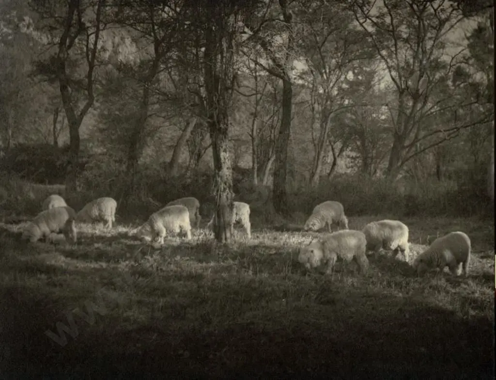 CASBOLT, Frederick Lennard (1896-1987) - Pastoral Image 1++