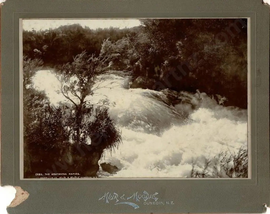 MUIR & MOODIE - Dunedin (1898-1916) - The Arateatea Rapids, c.1900 Image 1++