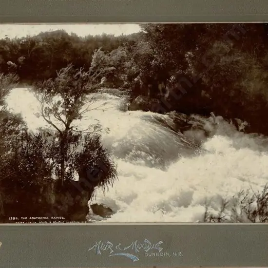 MUIR & MOODIE - Dunedin (1898-1916) - The Arateatea Rapids, c.1900