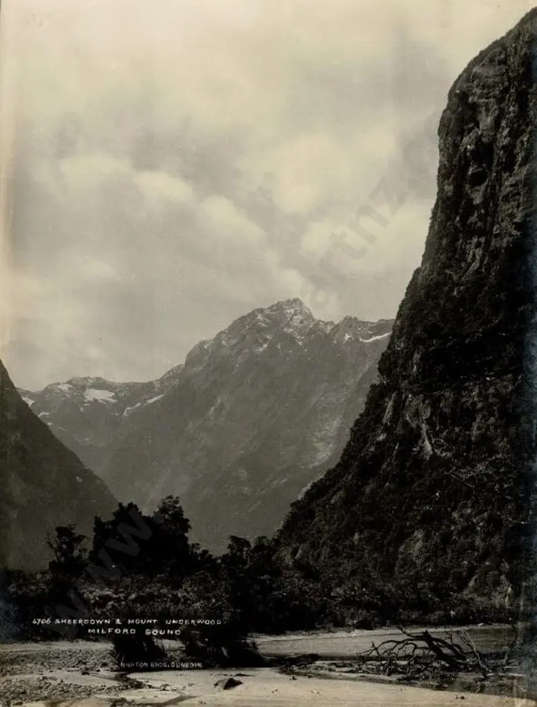 BURTON BROS - Dunedin (1870s-1890s) - Sheerdown and Mount Underwood, c.1897 Image 1++