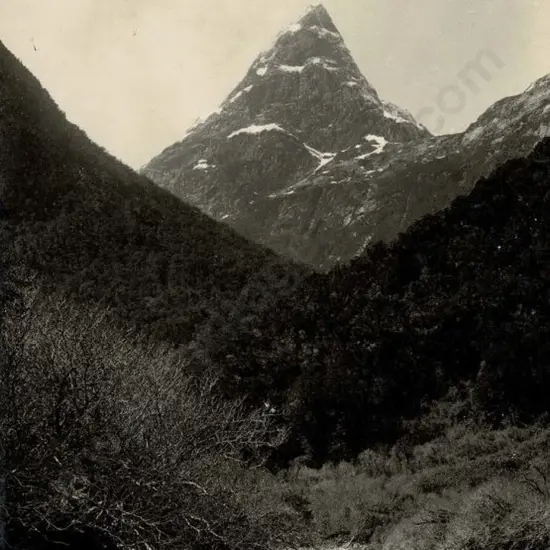 MUIR & MOODIE - Dunedin (1898-1916) - Mount Balloon - Milford Sound District, c.1905