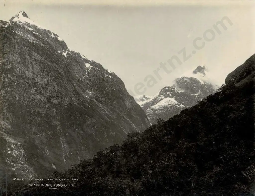 MUIR & MOODIE - Dunedin (1898-1916) - Mount Edgar from McKinnon Pass, 1908 Image 1++