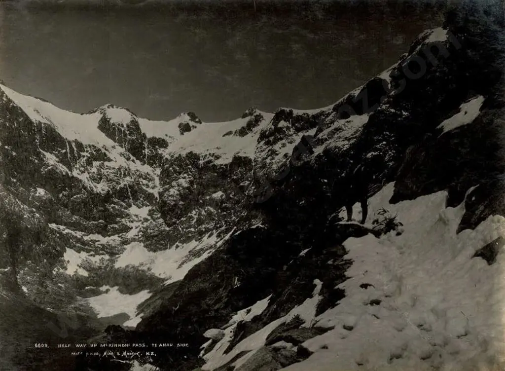 MUIR & MOODIE - Dunedin (1898-1916) - Half Way Up McKinnon Pass, Te Anau Side, 1908 Image 1++