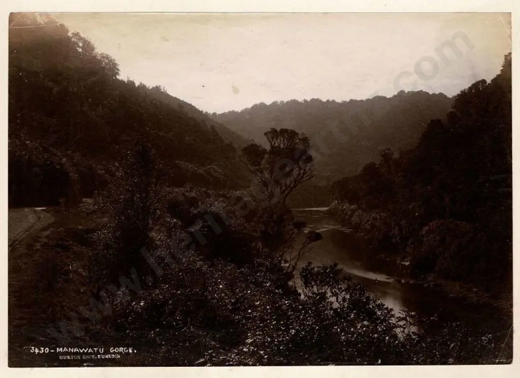 BURTON BROS - Dunedin (1870s-1890s) - Manawatu Gorge, c.1880 Image 1++
