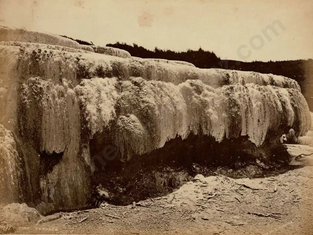 BURTON BROS - Dunedin (1870s-1890s) - Pink Terraces, c. 1880 Image 1++
