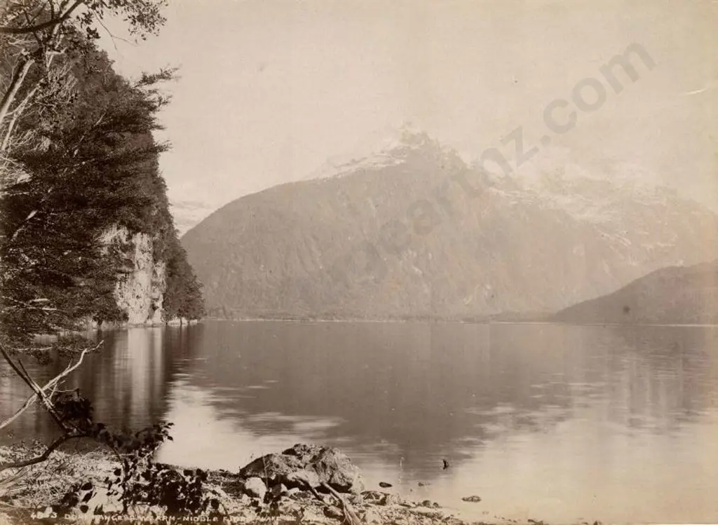 BURTON BROS - Dunedin (1870s-1890s) - Dome Range, Southwest Arm, Middle Fiord, Lake Te Anau, c. 1880 Image 1++