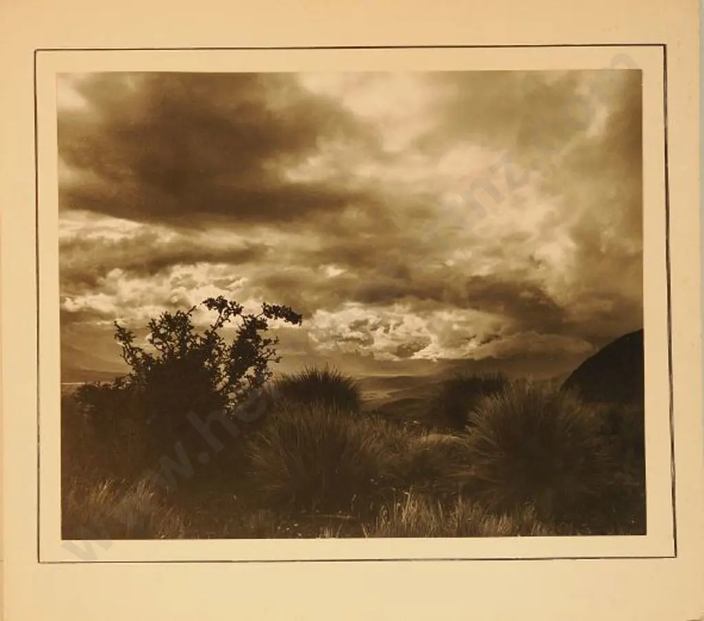 CASBOLT, Frederick Lennard (1896-1987) - West Coast Shoreline with Tussoc Image 1++