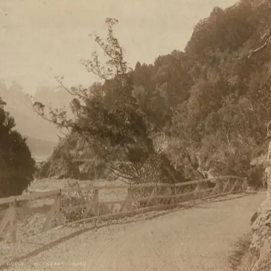 BURTON BROS - Dunedin (1870s-1890s) - Otira Gorge, West Coast Road, c.1880