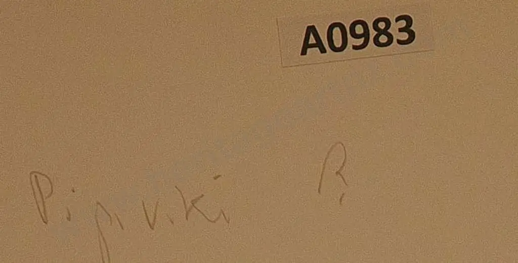 Attrib BURTON Bros - Dunedin (1870s-1890s)) - Pipiriki, Wanganui River, c.1880 Image 1++