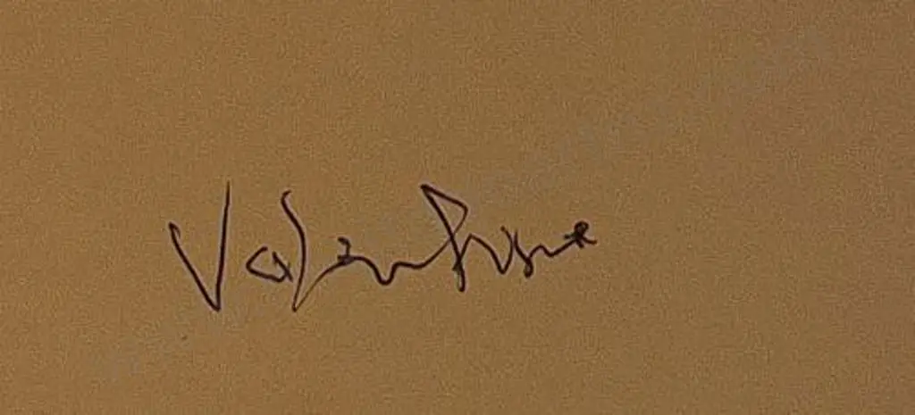 VALENTINE, George (1852-1890) - Cauldron, White Terraces Image 1++