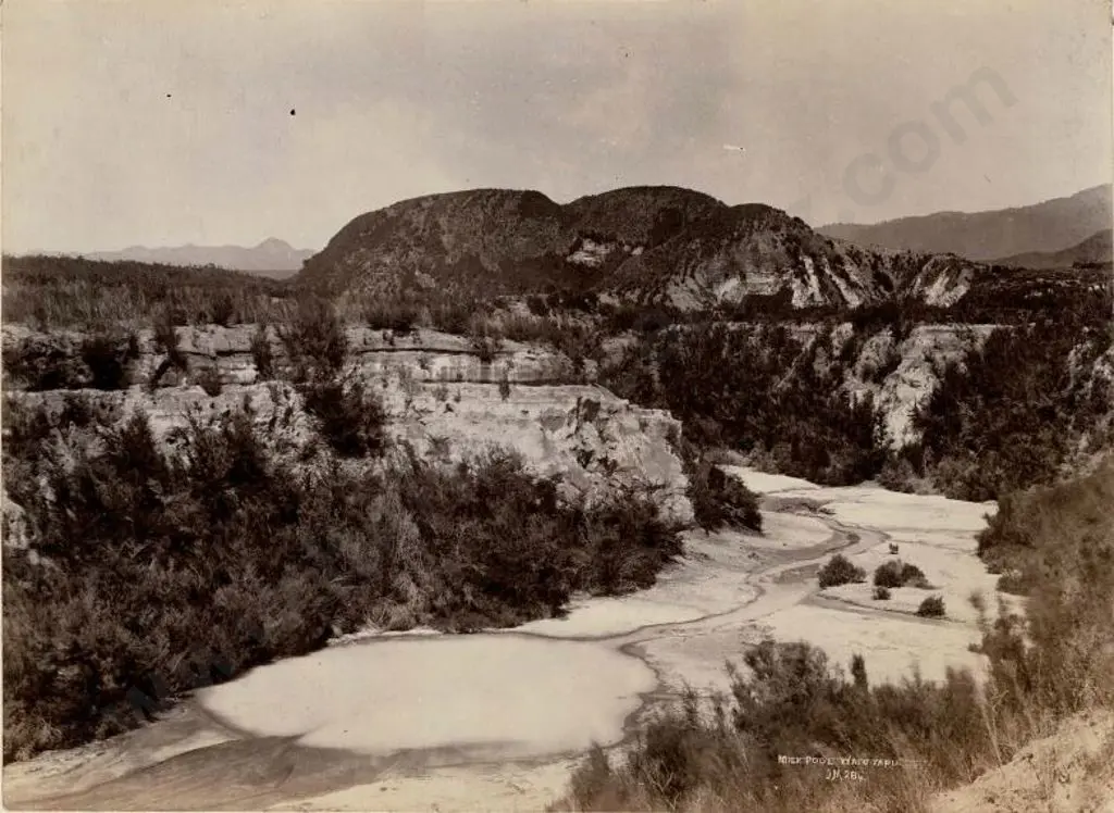MARTIN, Josiah (1843-1916) - Milk Pool Waiotapu, c. 1880 Image 1++