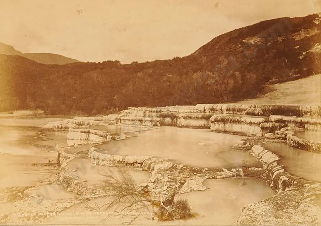 BURTON BROS - Dunedin (1870s-1890s) - Cold Water Basin - White Terraces, c. 1880 Image 1++
