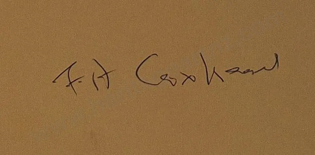 COXHEAD, Frank Arnold (1851-1908) - F.A.C. - Devon Street, New Plymouth, Looking South, c. 1880s Image 1++