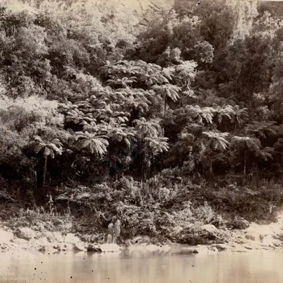 MARTIN, Josiah (1843-1916) - Wanganui River, c.1880