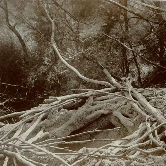 MARTIN, Josiah (1843-1916) - Eagles West, Wairakei, c.1880