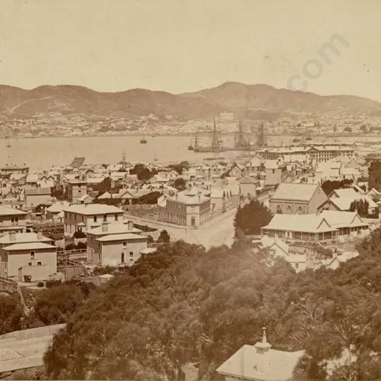 BRAGGE, James (1833-1908) - Wellington from Wadestown Road, 1877