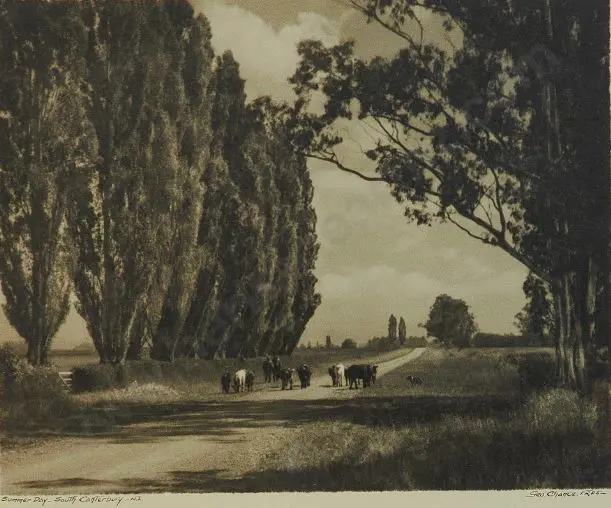 CHANCE, George (1885-1963) - Summer Day, South Canterbury Image 1++