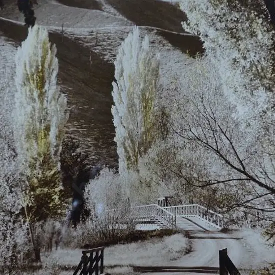 DUDGEON, Ellis (1905-1979) - Golden Sentinels, c.1933