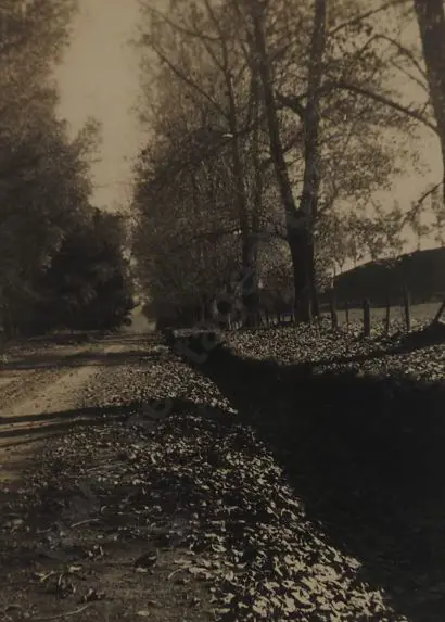 UNKNOWN - Autumn Leaves Image 1++