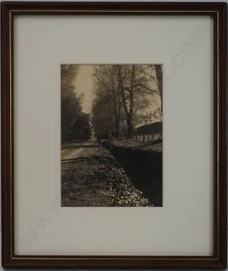 UNKNOWN - Autumn Leaves Image 1++