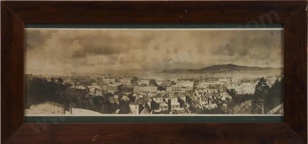 UNKNOWN - Wellington Panorama (ex Hardwicke Knight Collection) Image 1++