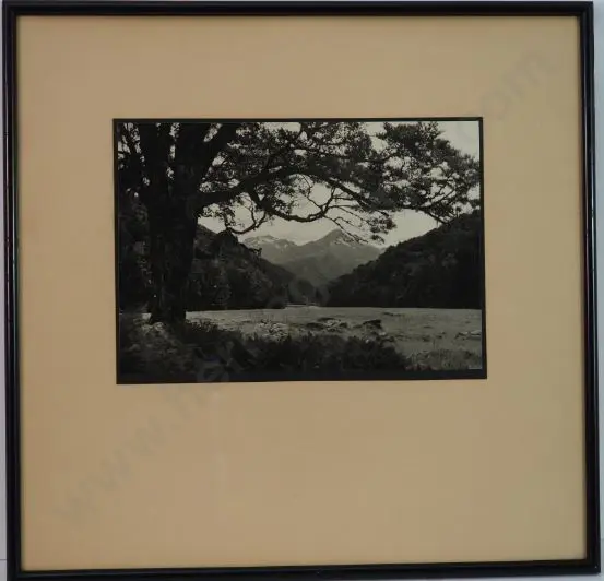 PANCKHURST, Mrs (Early-mid 20th Century) - Southern Alps, River and Bush Image 1++