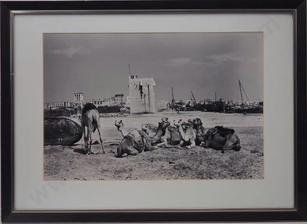 UNKNOWN photographer - Egypt with Camels & Boats Image 1++