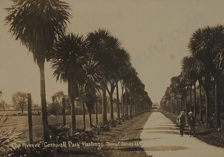 UNKNOWN photographer - The Avenue, Cornwall Park, Hastings c. 1905 Image 1++