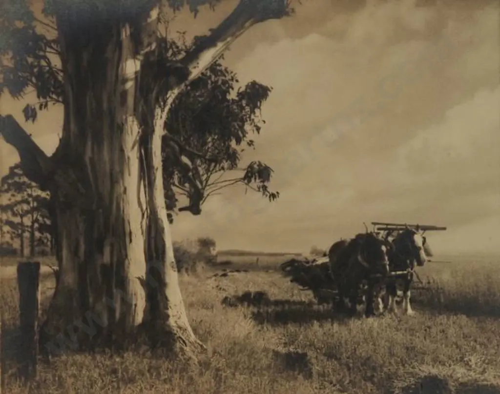 CHANCE, George (1885-1963) - The Resting Team (Clydesdales) Image 1++