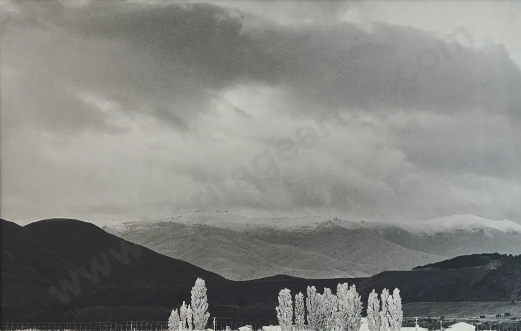 GIVEN, Bruce (1916-2001) - There Shall be Light (Poplar Trees in Field) Image 1++