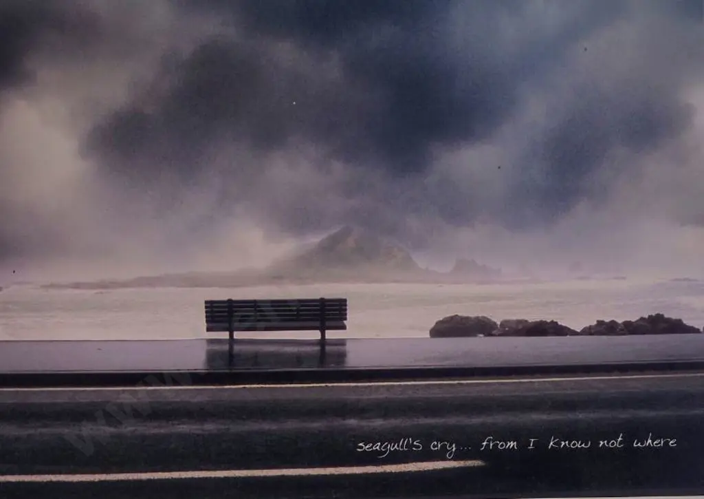 BENNETT, Duncan (contemporary)   - Seagulls Cry - From I Know Not Where Image 1++