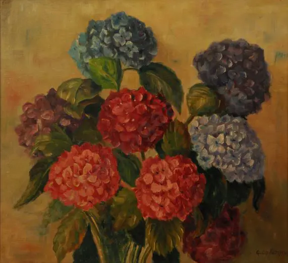 COLEMAN, G. - Hydrangeas Image 1++