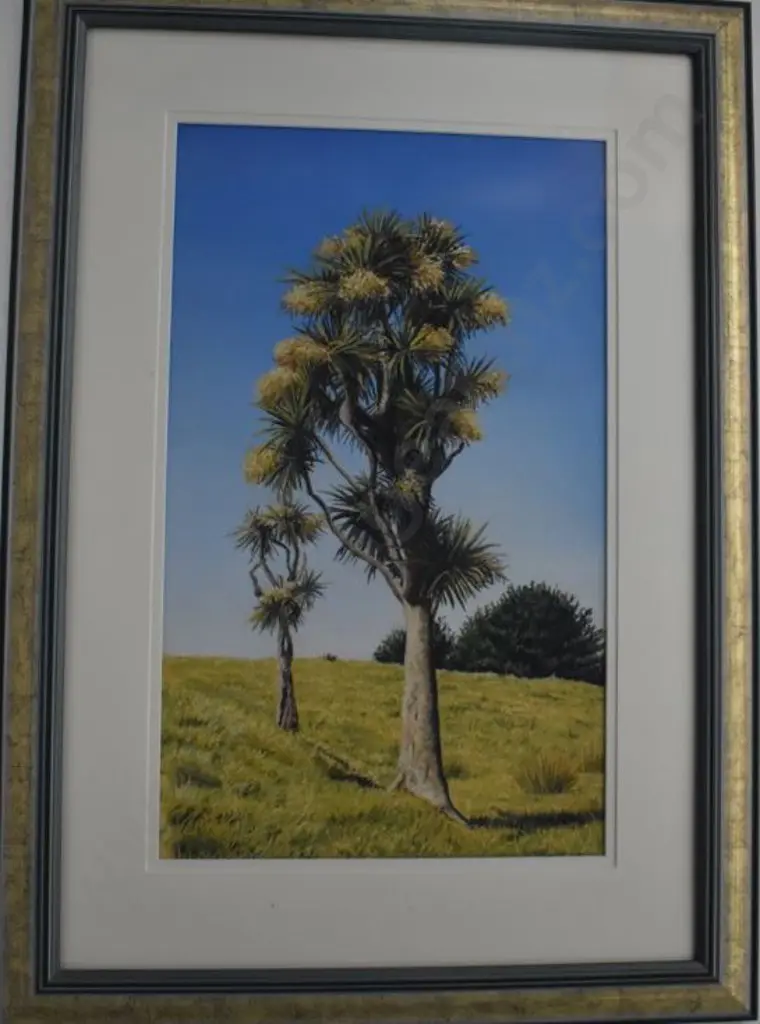ROSS, Jane (Contemporary) - The Cabbage Tree in Flower Image 1++