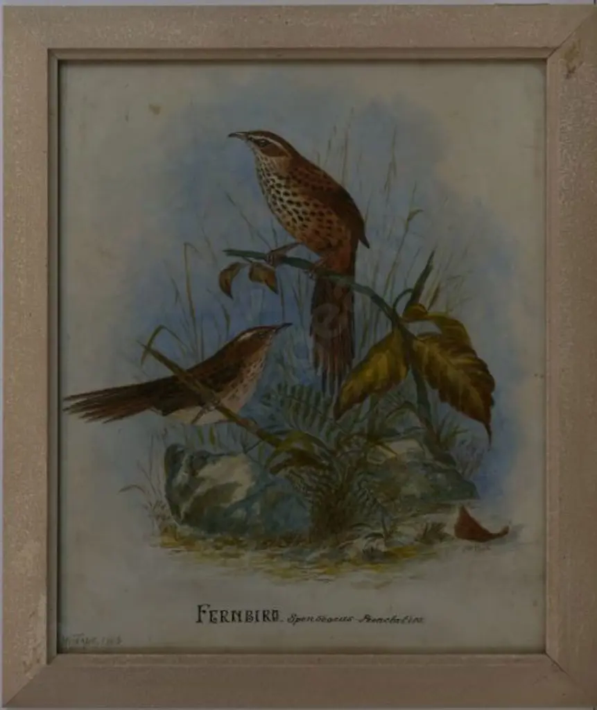 TEAPE, J.N. - Fernbird, 1905 Image 1++