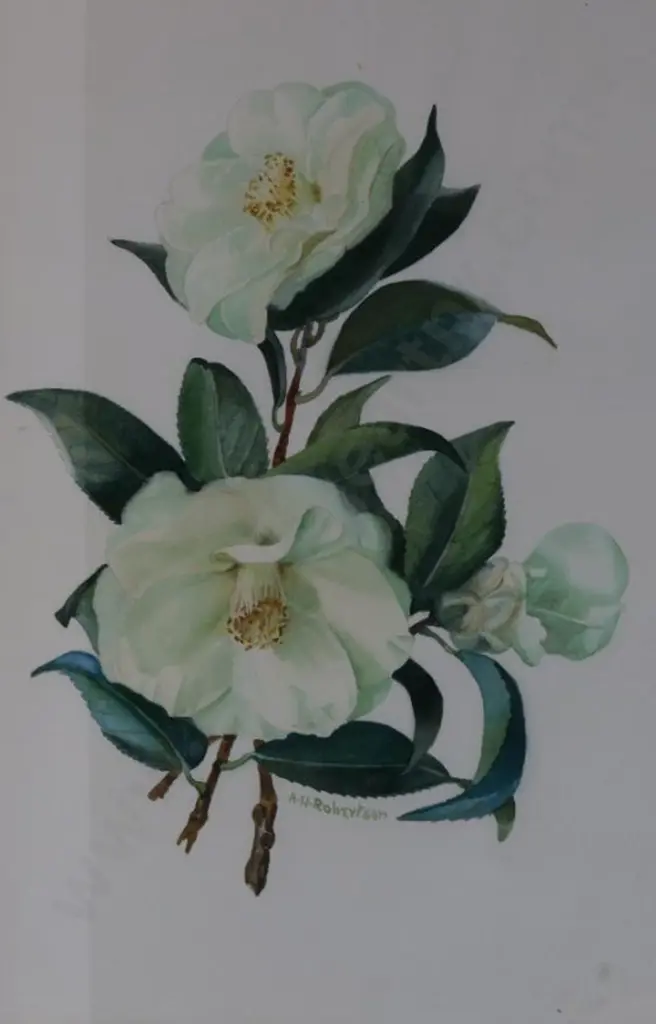 ROBERTSON, Alice H. - Cho Cho San Image 1++