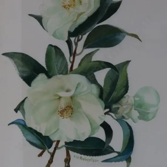 ROBERTSON, Alice H. - Cho Cho San