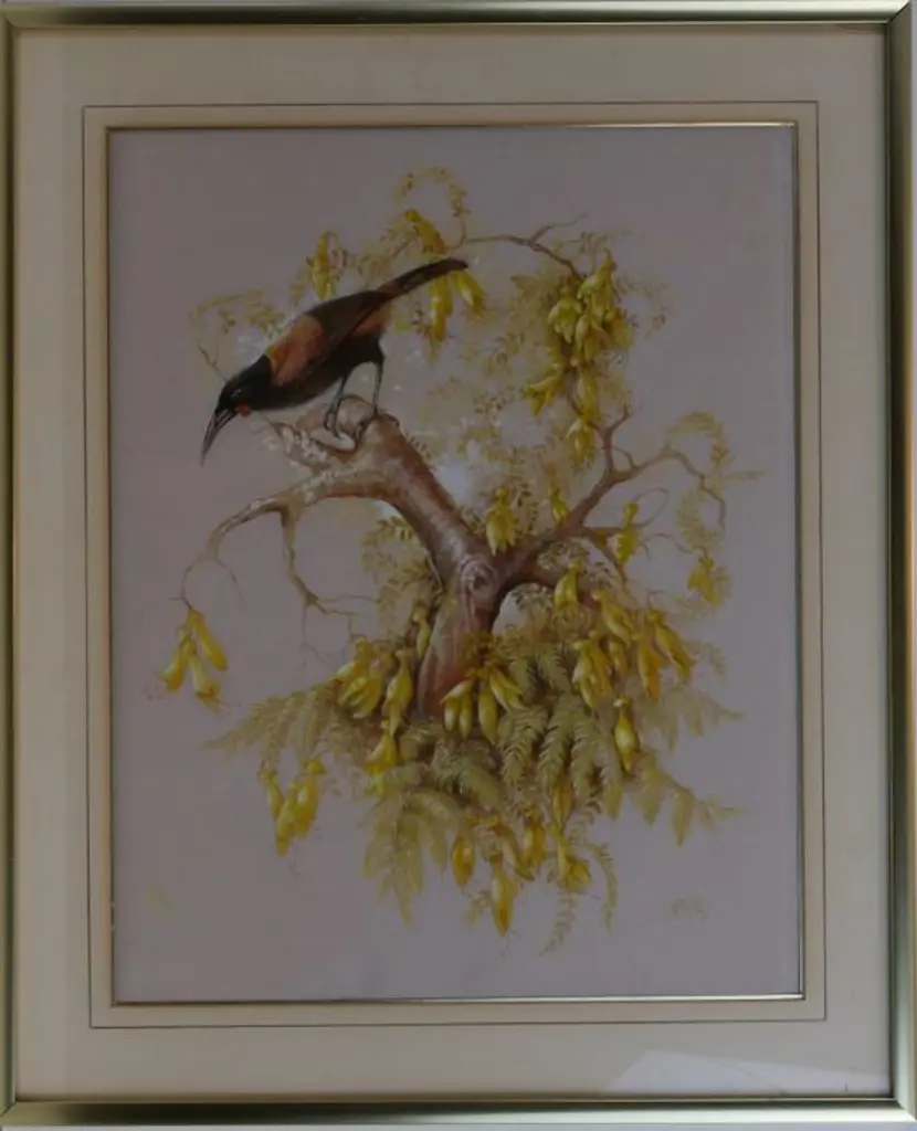 SUTTON, H. - Saddleback on Kowhai Tree Image 1++