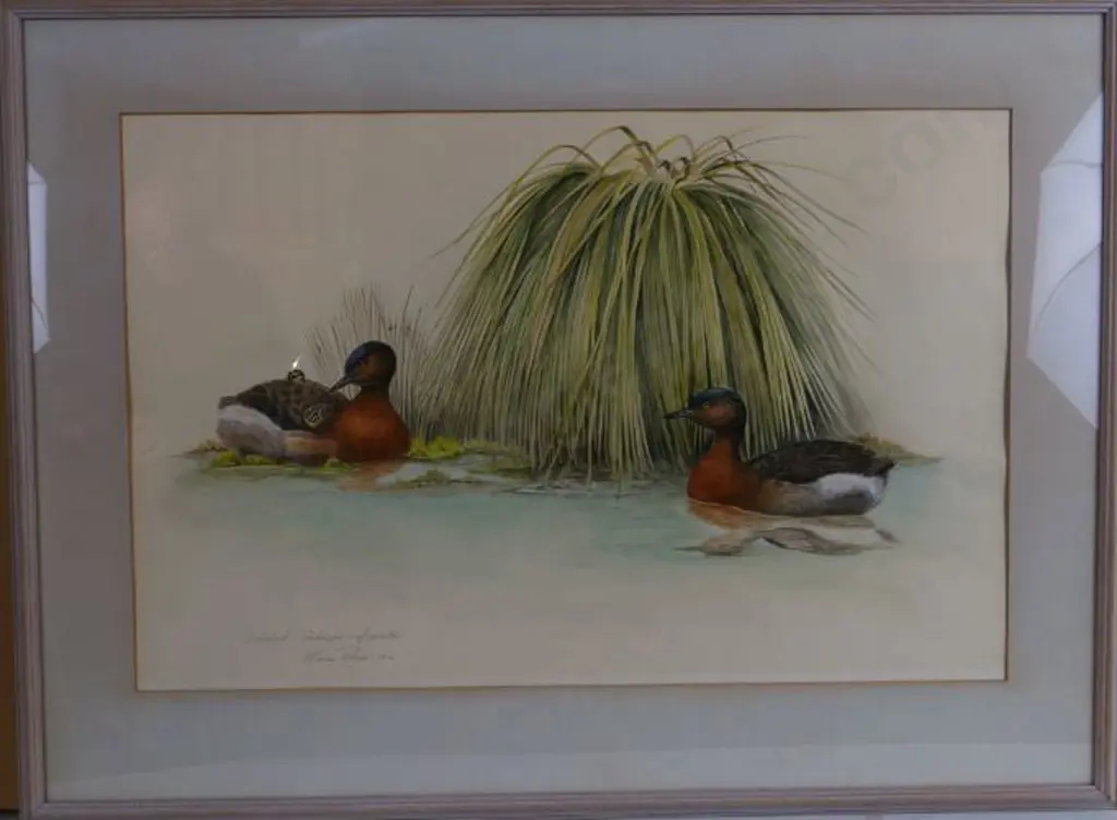 POWER, Elaine (Active 1970s) - Dabchick Image 1++