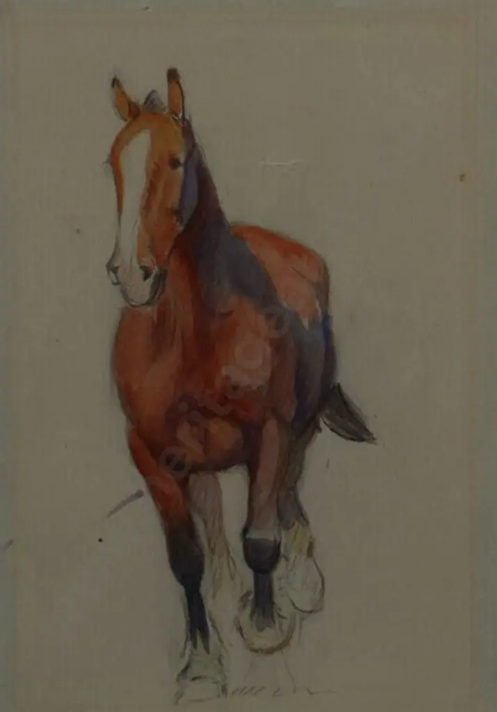 WHITEMAN, Violet Emily (1873-1952) - Horse Image 1++