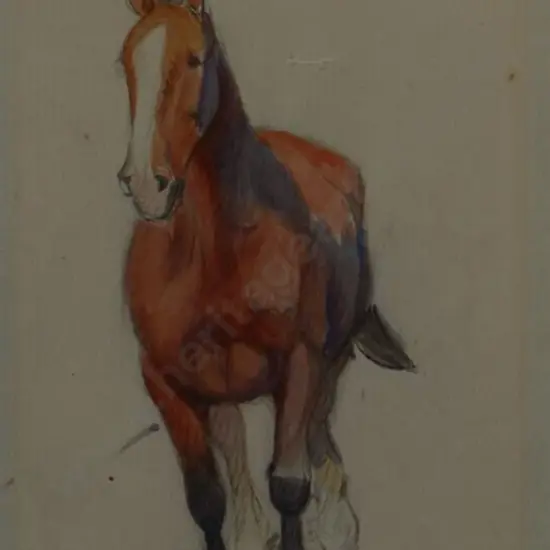 WHITEMAN, Violet Emily (1873-1952) - Horse