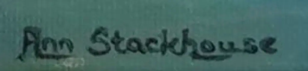 STACKHOUSE, Anne - Mount Aspiring Image 1++