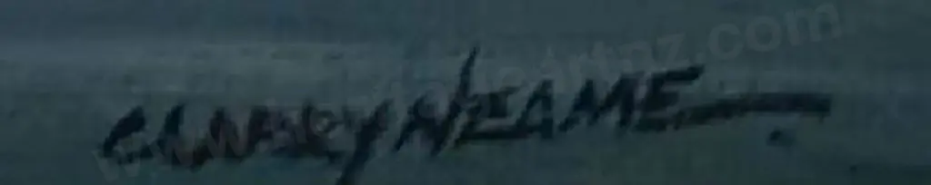 NEAME, Clarry (Active 2000s) - Pelorus Sound Image 1++