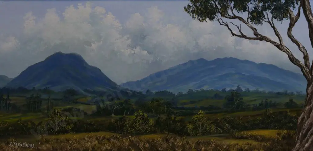 MARSHALL, J. - Pirongia & Kakapuka Image 1++