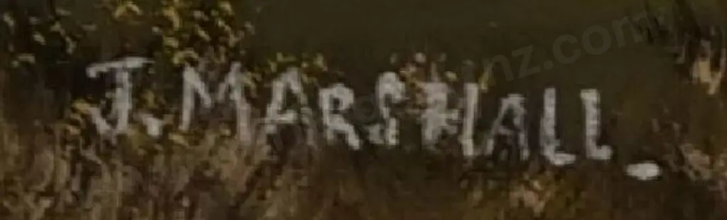 MARSHALL, J. - Pirongia & Kakapuka Image 1++