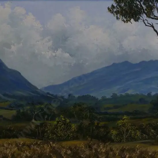 MARSHALL, J. - Pirongia & Kakapuka