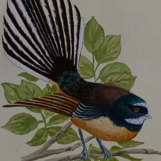 CLARK, Christina M. (Active 1970s) - New Zealand Fantail