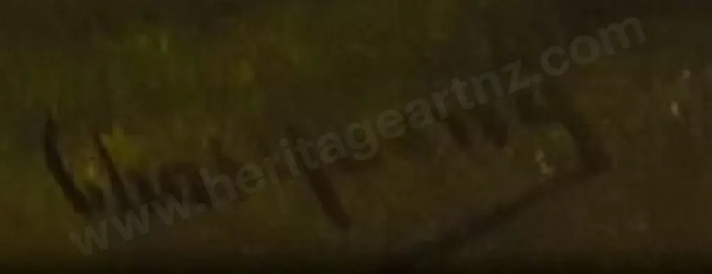 YOUNG, Chas (Active 1884-1918) - Unknown Gorge - possibly Otira Image 1++