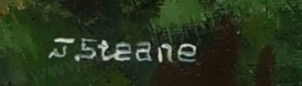 STEANE, J - West Coast from Above Piha Image 1++