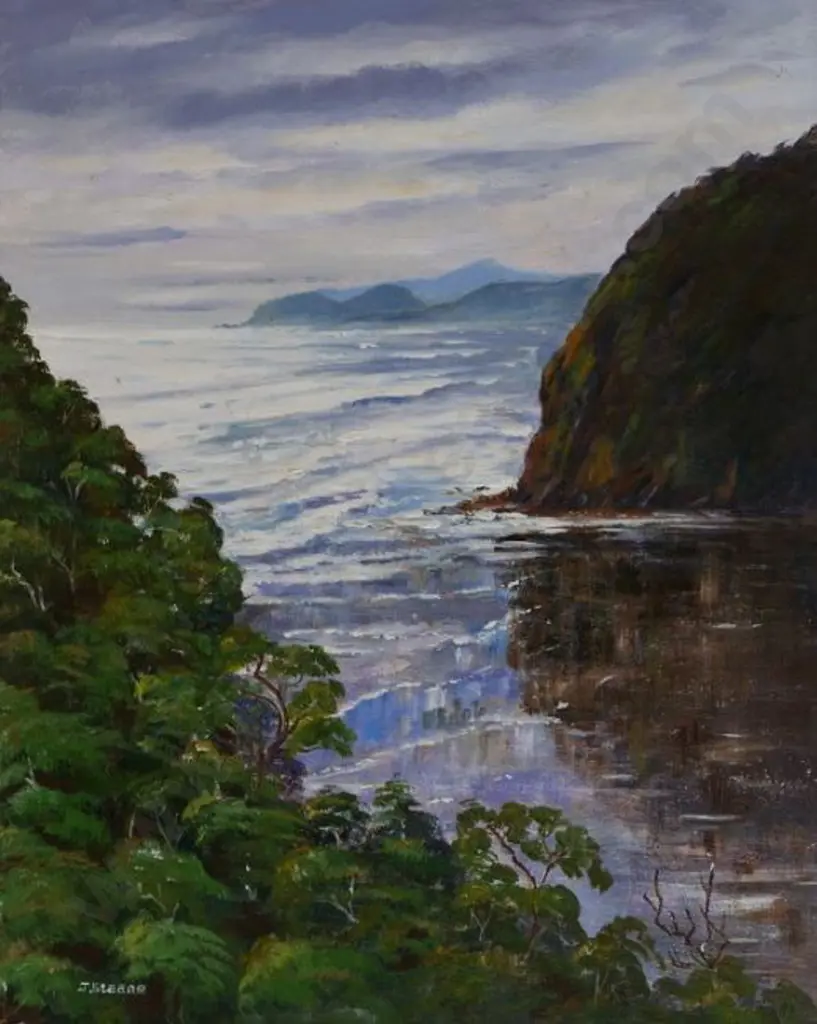 STEANE, J - West Coast from Above Piha Image 1++